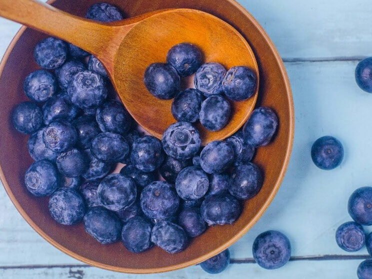 Arándanos en cultivo: que hacer para que el tuyo sea el más sabroso del mundo 5