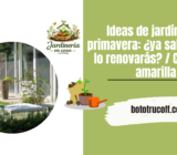 Tres razones por las que es posible que las plantas de interior no sobrevivan el invierno