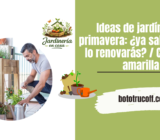 Huerto urbano en mi terraza: reseña de junio