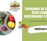 Variedades de tomate: listas según determinados criterios.