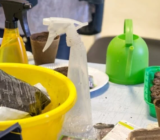 ¿Qué pasa si plantas hortalizas demasiado pronto?