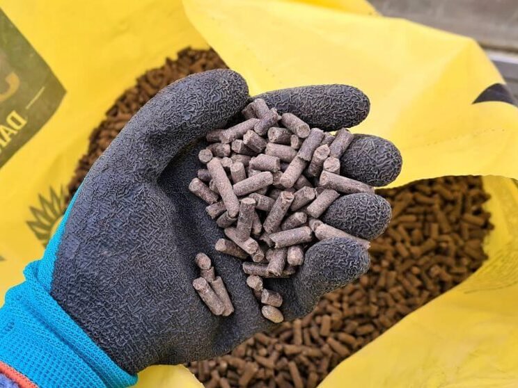 Estiércol como fertilizante: qué, cuándo y cómo utilizarlo 3
