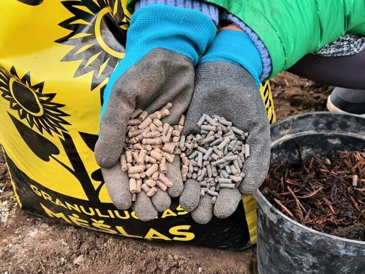 Estiércol como fertilizante: qué, cuándo y cómo utilizarlo 5
