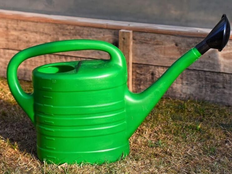 Estiércol como fertilizante: qué, cuándo y cómo utilizarlo 6