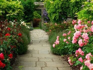 Ideas de paisajismo para jardines pequeños: cómo aprovechar al máximo el espacio 5