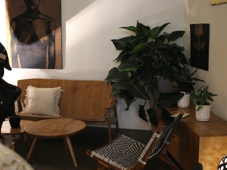 Para un hogar con estilo: 7 plantas de interior que aman la oscuridad 4