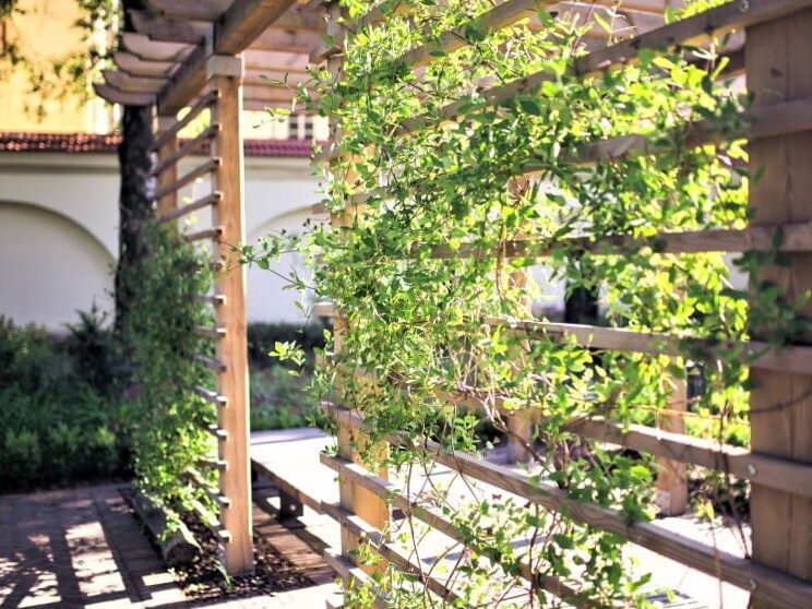 Patio en invierno: ¿qué, además de las plantas, le da belleza? 4