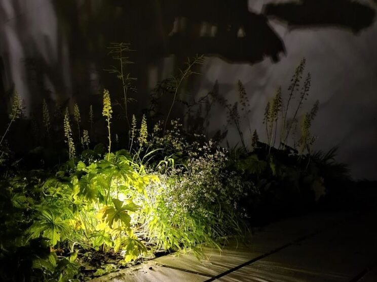 Patio en invierno: ¿qué, además de las plantas, le da belleza? 6
