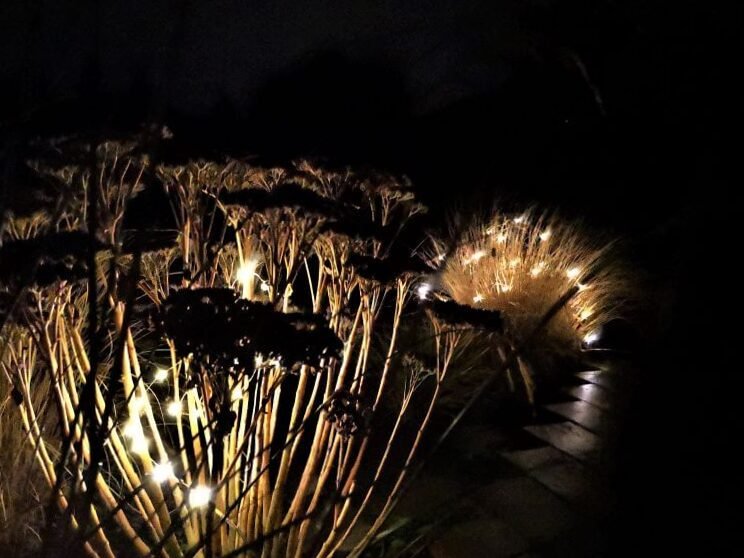 Patio en invierno: ¿qué, además de las plantas, le da belleza? 7