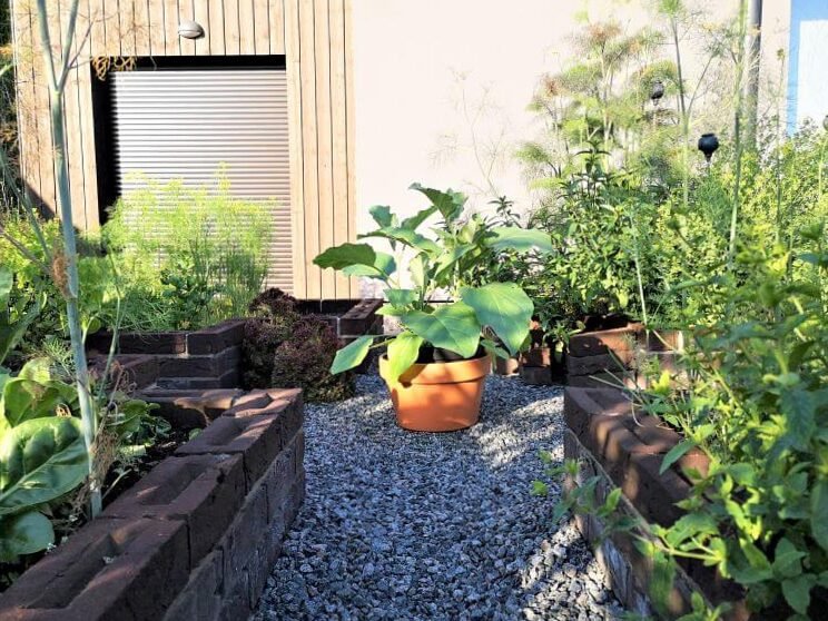 Patio en invierno: ¿qué, además de las plantas, le da belleza? 8