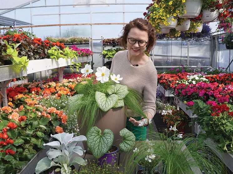 Plantas en macetas: creé 7 combinaciones para el balcón o terraza 2