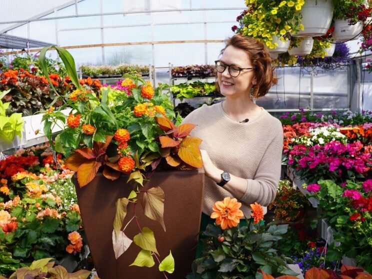 Plantas en macetas: creé 7 combinaciones para el balcón o terraza 3