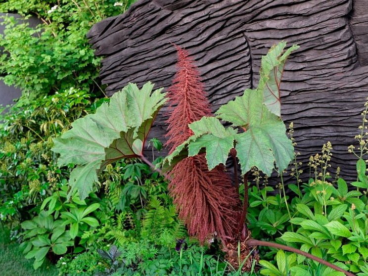 RHS Chelsea Flower Show 2019 Insights (I): Los jardines más espectaculares del espectáculo 4