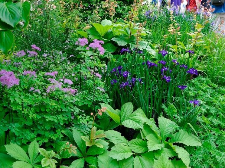 RHS Chelsea Flower Show 2019 Insights (II): plantas y materiales 2