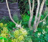 RHS Chelsea Flower Show 2019 Insights (I): Los jardines más espectaculares del espectáculo