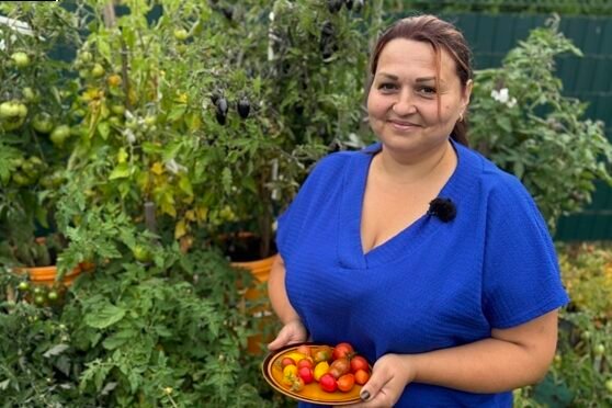 Tomates en macetas: instrucciones detalladas para cultivar Alytiska Sandra 7
