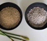 Agroperlita y vermiculita: cuál es la diferencia y cuándo usarla