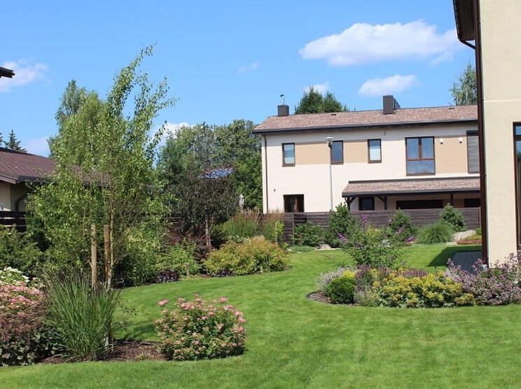 Un ejemplo de paisajismo de un patio específico - le dice la anfitriona 4